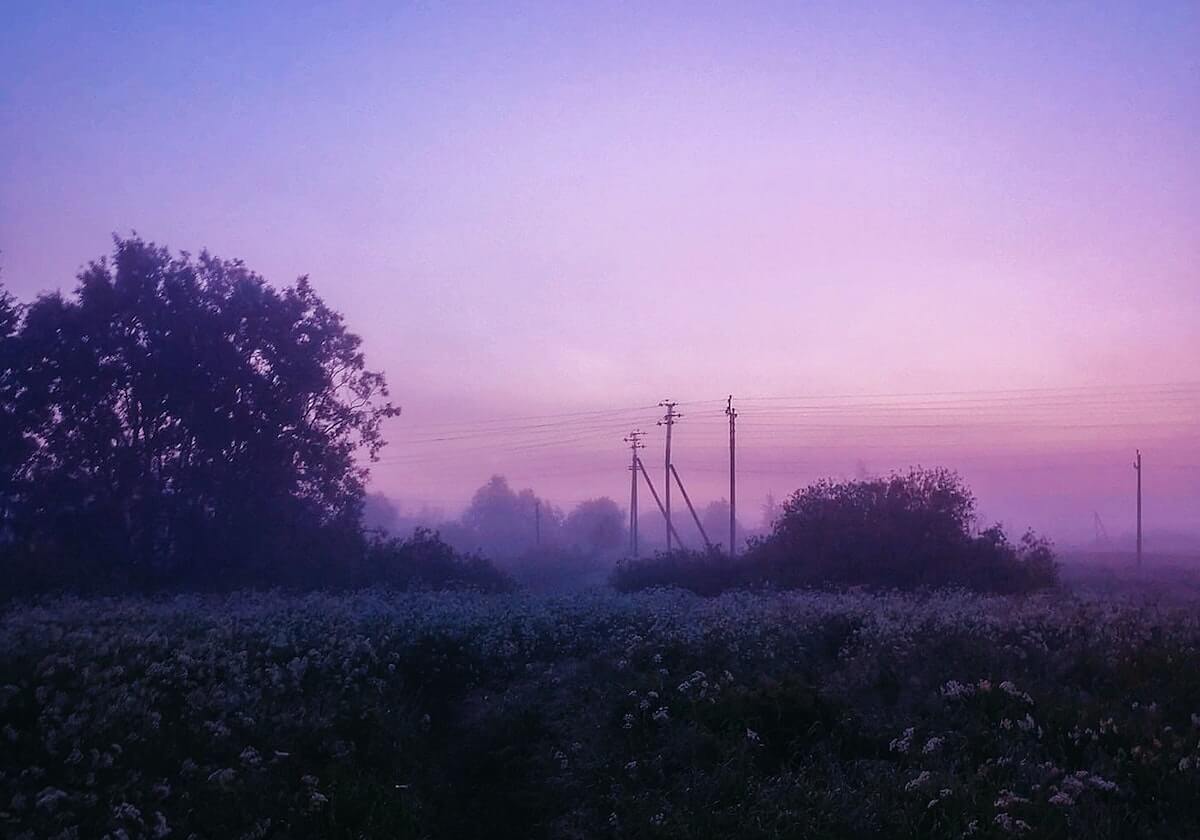 杨毅谈詹姆斯保镖骂球迷：不应该骂人 但这跟詹姆斯有什么关系？